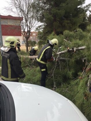 ? ?El viento provoca el corte de una calle en Albacete y daños en varios vehículos