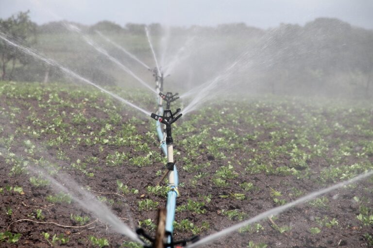 Investigadas dos asociaciones por extraer agua ilegalmente en Cuenca para regar Investigadas dos asociaciones por extraer agua ilegalmente en Cuenca para regar