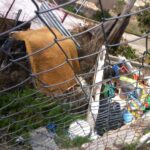 Cs Cuenca quiere que el Ayuntamiento limpie y acondicione todos los solares abandonados de la ciudad