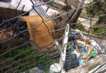 Cs Cuenca quiere que el Ayuntamiento limpie y acondicione todos los solares abandonados de la ciudad