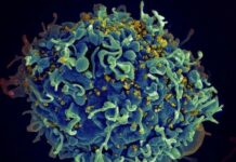 Las pruebas del VIH se podrán adquirir en farmacias sin necesidad de prescripción médica