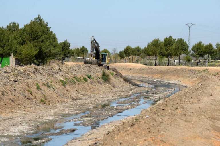 Limpiado el cauce del Guadiana a su paso por Argamasilla de Alba