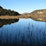Nueva presidenta de la Junta Rectora del Parque Natural de las Lagunas de Ruidera