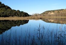 Día Mundial del Medio Ambiente y ecoturismo en Castilla-La Mancha