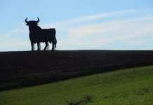 14 toros de Osborne habitan en las carreteras de Castilla-La Mancha