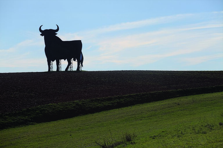 14 toros de Osborne habitan en las carreteras de Castilla-La Mancha