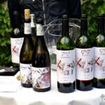 FOTOS: Hoy se celebra una cata de vinos gratuita en Albacete