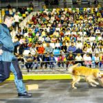 Los más pequeños protagonistas de la primera jornada de FERCATUR 2018