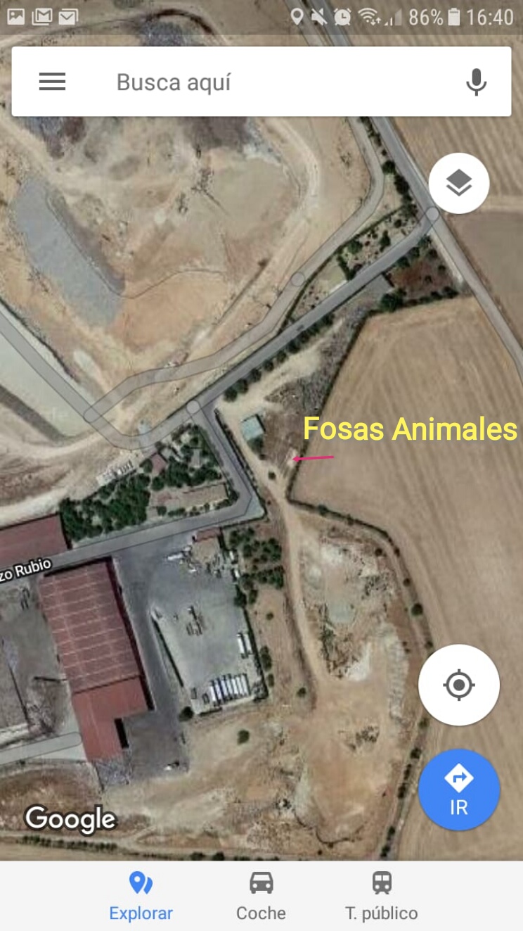 Denuncian el descubrimiento de animales enterrados en fosas de Albacete