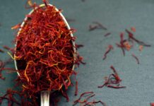 Según un estudio el azafrán atenúa los síntomas de depresión, ansiedad y fobia social en adolescentes