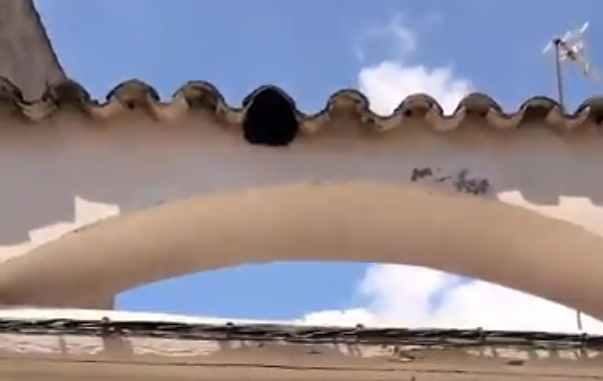 Siguen apareciendo enjambres de abejas en un pueblo de Albacete