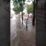 VÍDEO: Varias inundaciones y caídas de árbol en Puertollano por la tromba de granizo y agua