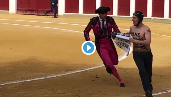 Video: Si en Eurovisión tienen a su espontáneo, en nuestro país lo tenemos en los toros