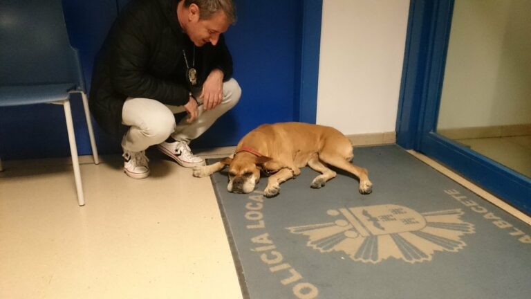 Curioso todo lo que ha encontrado la Policía Local de Albacete esta noche