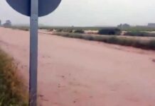 Desde Valdepeñas a La Gineta: las fuertes tormentas causan estragos en la región