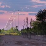 Así luce la vía verde de Argamasilla de Alba tras plantar más de 200 árboles