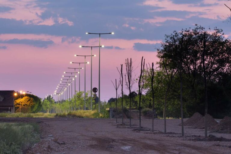 Así luce la vía verde de Argamasilla de Alba tras plantar más de 200 árboles