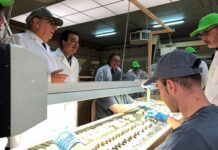 3,7 millones de euros para impulsar la innovación tecnológica en el sector agroalimentario