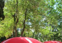 ¿Cuándo llega oficialmente el verano?