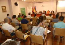 Casi 30 empresas se forman sobre el Portal de Contratación de C-LM