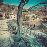 Un albaceteño refleja en imágenes la desolación del incendio de la Sierra del Segura