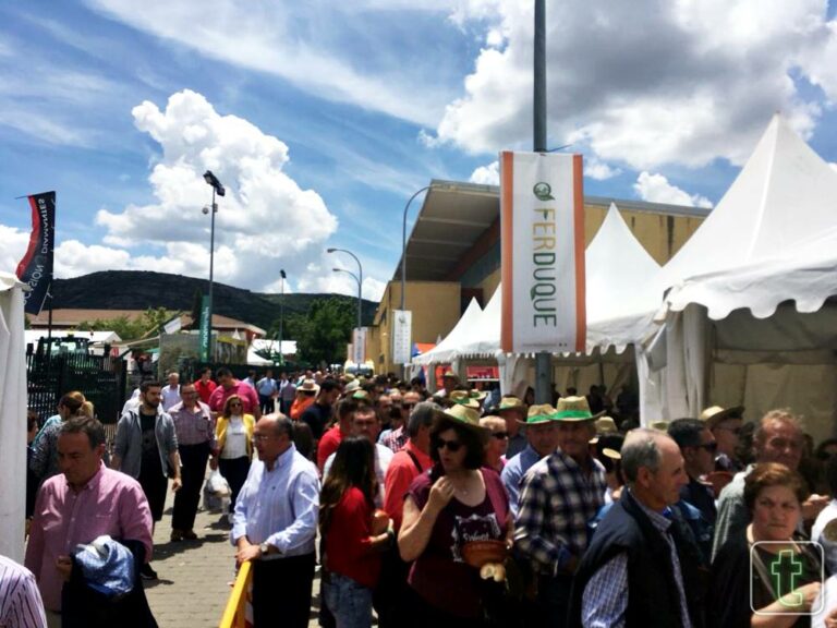 Alberto Comesaña, Pablo Perea, Rafa Blas y Patricia Aguilar llevarán a FERDUQUE 2019 los mejores temas