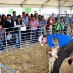 70 estands de empresas de diferentes sectores participarán desde este viernes en la III edición de Ferduque