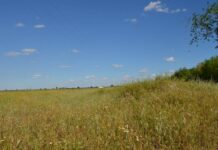 Cielos despejados y máximas hasta los 28 grados, la previsión para este miércoles en Castilla-La Mancha