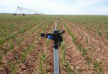 Los regantes piden a la Confederación del Guadiana que se amolde al nuevo modelo de Aguas Subterráneas