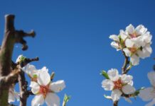 Molina de Aragón registra la temperatura mínima en el mes de junio de toda España