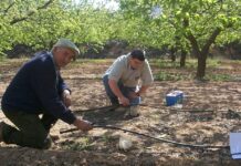 Nueva convocatoria millonaria para incorporar a 2.500 jóvenes al campo y mejorar 3.500 explotaciones en Castilla-La Mancha