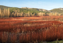 El turismo rural está de moda