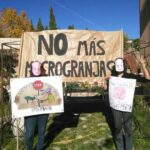 Cuenca saldrá hoy a la calle para manifestarse contra las macrogranjas de Incarlopsa