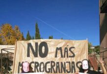 Macrogranjas en C-LM, ¿empleo de calidad o problemas ambientales?