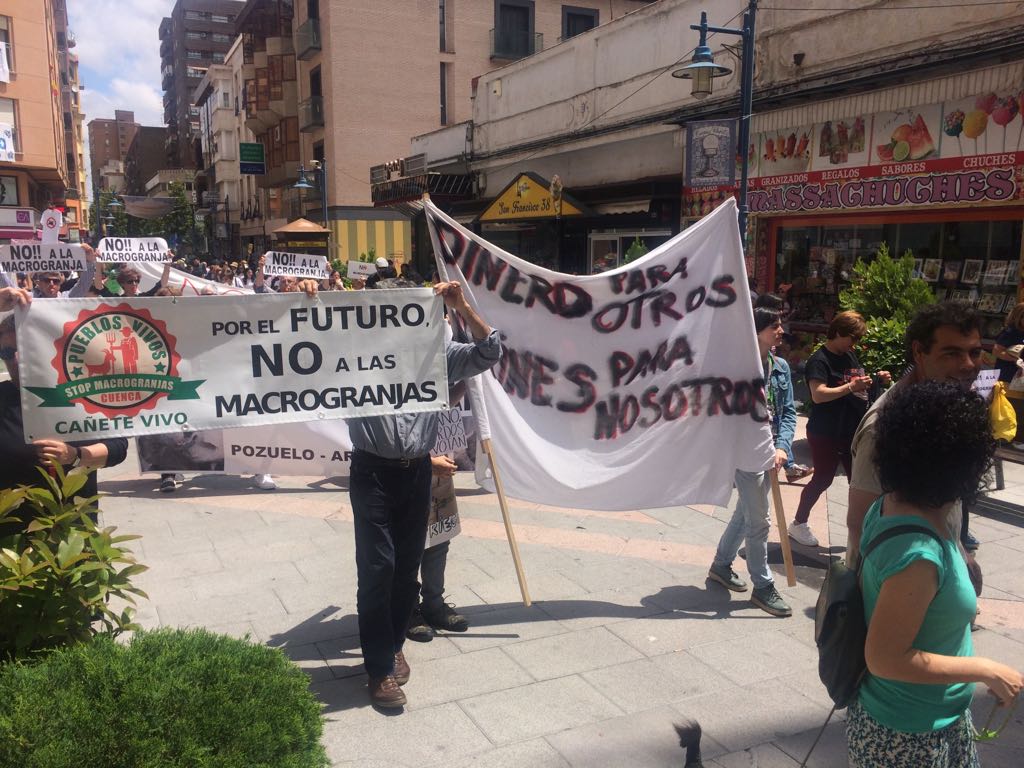 Cuenca saldrá hoy a la calle para manifestarse contra las macrogranjas de Incarlopsa