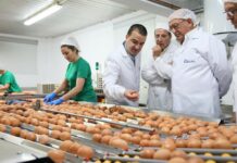 El sector avícola de la región va volando