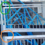 Quejas por los numerosos enjambres de avispas en pistas deportivas de Socuéllamos