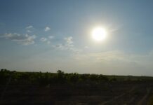 Este martes en Castilla-La Mancha: Albacete y Cuenca en riesgo por altas temperaturas