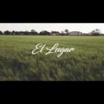 El vídeo que está conquistando a los vecinos de Argamasilla de Alba