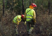 CSIF denuncia que el dispositivo de incendios en C-LM se quedará al 50 % en una semana