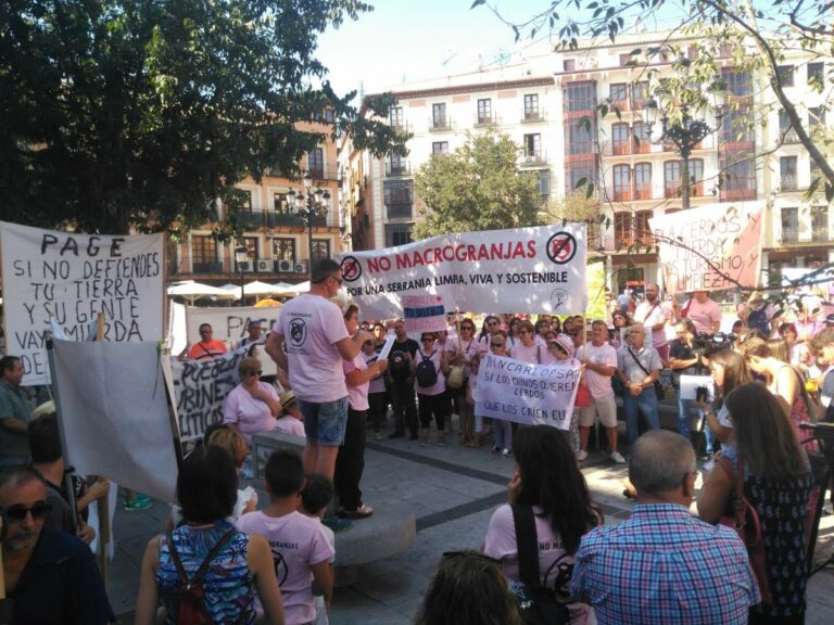 La Plataforma contra macrogranjas de Cuenca se enfrenta a la Junta por su inexistente política de impacto