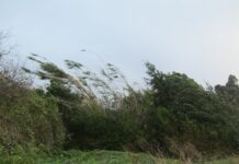 Esta semana tormentas y viento, con temperaturas normales para la época