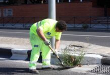 La afiliación de extranjeros en C-LM suma y sigue