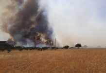 Gran descenso del número de incendios forestales en Castilla-La Mancha