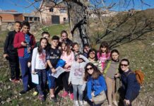 ¿Quieres que tus hijos aprendan inglés? Esto te interesa