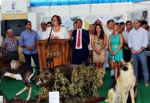 El sector turístico de C-LM bate récord de pernoctaciones