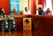 La campaña del melón llega a su ecuador con unos precios muy bajos