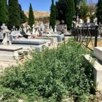 Denuncian el ‘absoluto abandono’ del cementerio de este municipio conquense