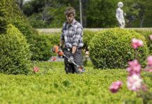 El Gobierno de C-LM apuesta por la generación de empleo con el proyecto `RedPlantea´