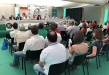 Optimismo en el sector tras las cotizaciones de la primera Lonja del Melón y la Sandía de Castilla-La Mancha